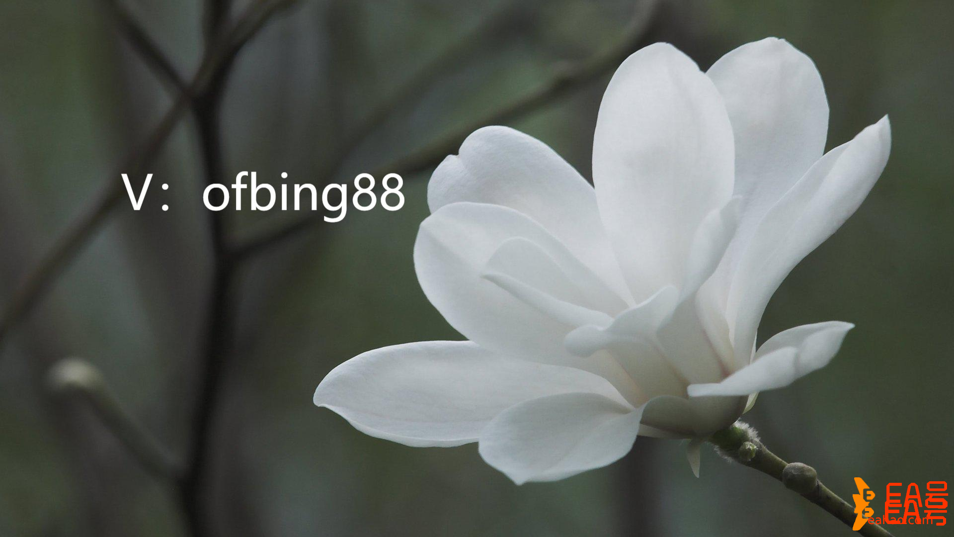 CCR自动量化交易软件：投资是投人生 理财就是理心态