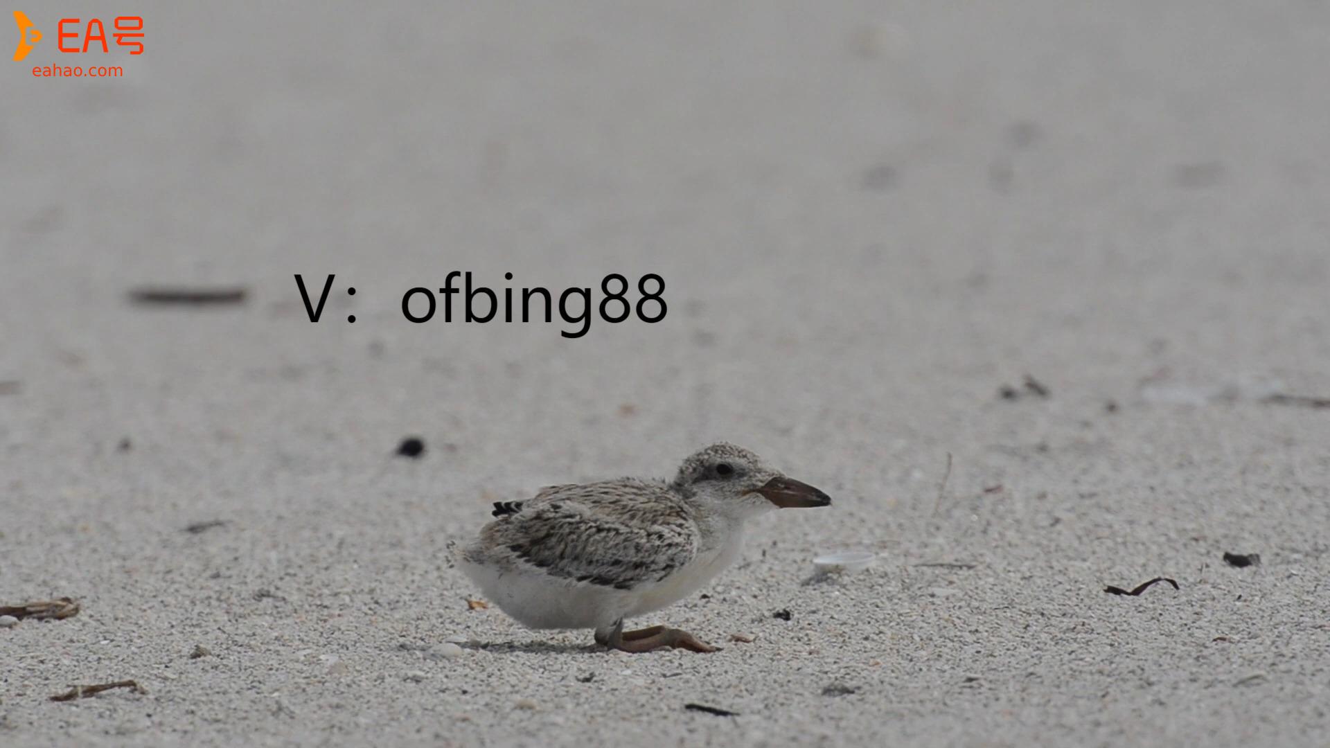 博森科技CCR智能炒币机器人：交易的本质是等待的游戏