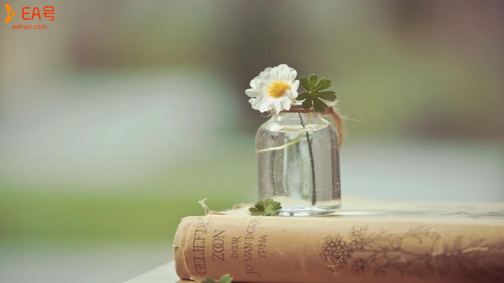 博森科技CCR全自动炒币机器人：耐心是币圈交易中的重中之重