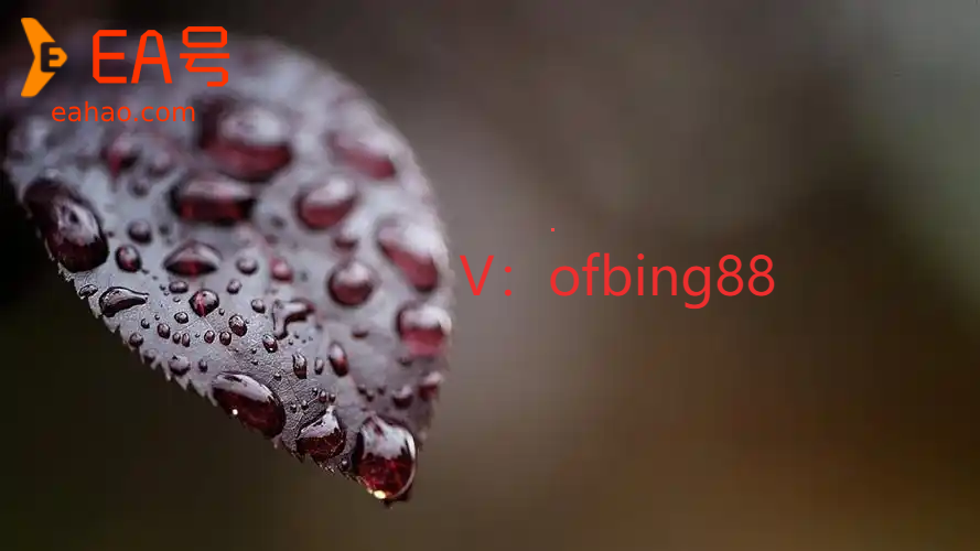 博森科技CCR智能炒币机器人：交易态度让我们赢在起跑线上