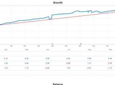 100%无马丁，无网格的外汇EA夜鹰智能交易系统